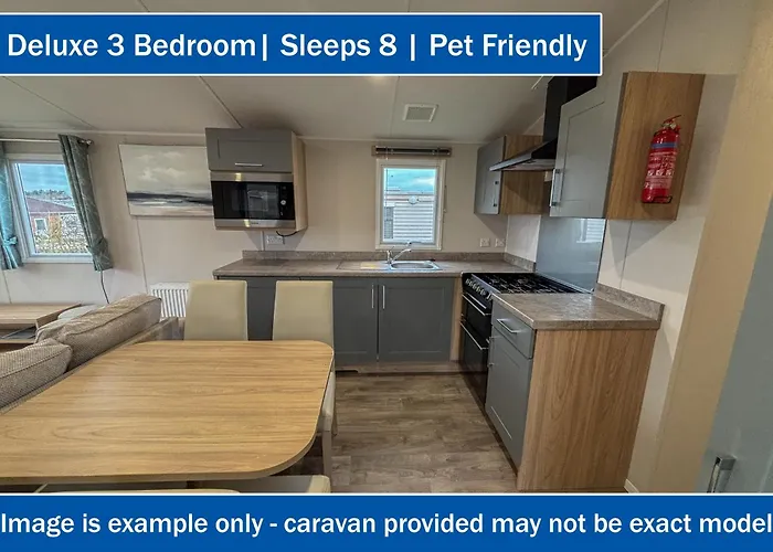 假日公园 鸦巢大篷车旅店 法利