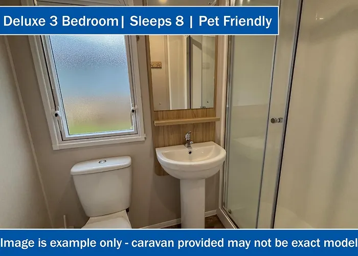 鸦巢大篷车旅店 法利