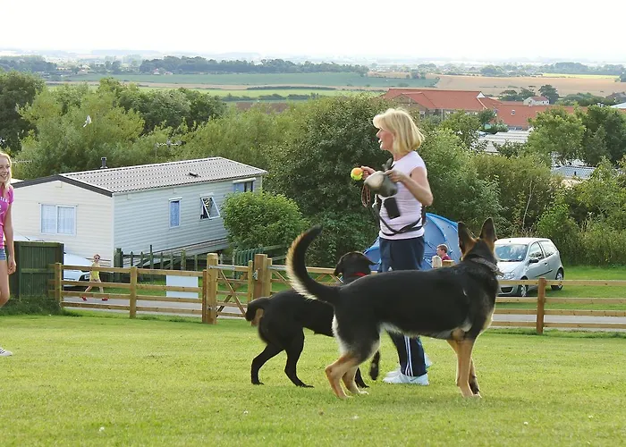 鸦巢大篷车旅店 法利