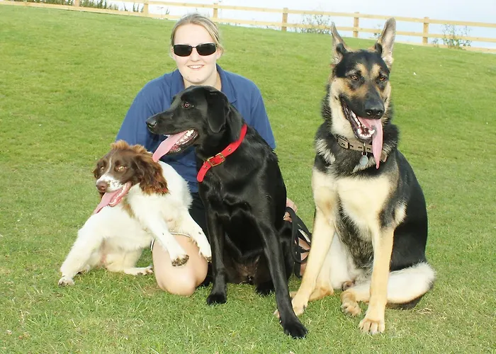 鸦巢大篷车旅店 法利