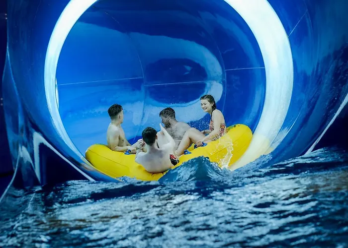 鸦巢大篷车旅店 假日公园 法利