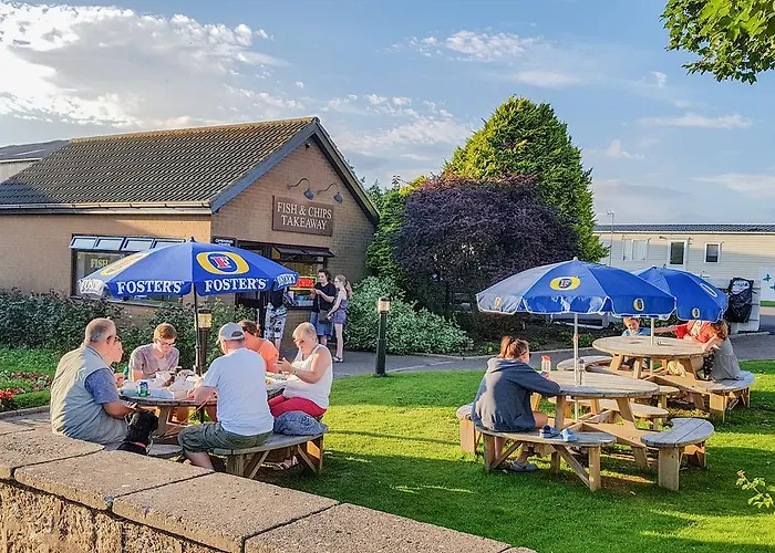 假日公园 鸦巢大篷车旅店 4*